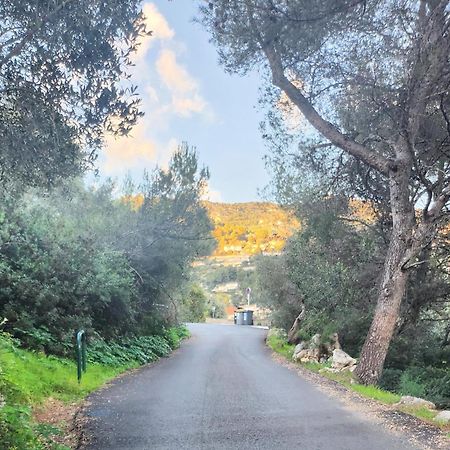 Le Mas D'Angeline, Vue Mer, Jardin Commun, Parking, Voiture Requise, 10 Min En Voiture De Monaco, Route Etroite, Pente Raide, Croisement Limite, Sea View, Shared Garden, Parking, Car Required, 10 Min Drive From Monaco, Narrow Steep Road, Limited Pass Beausoleil Exterior foto