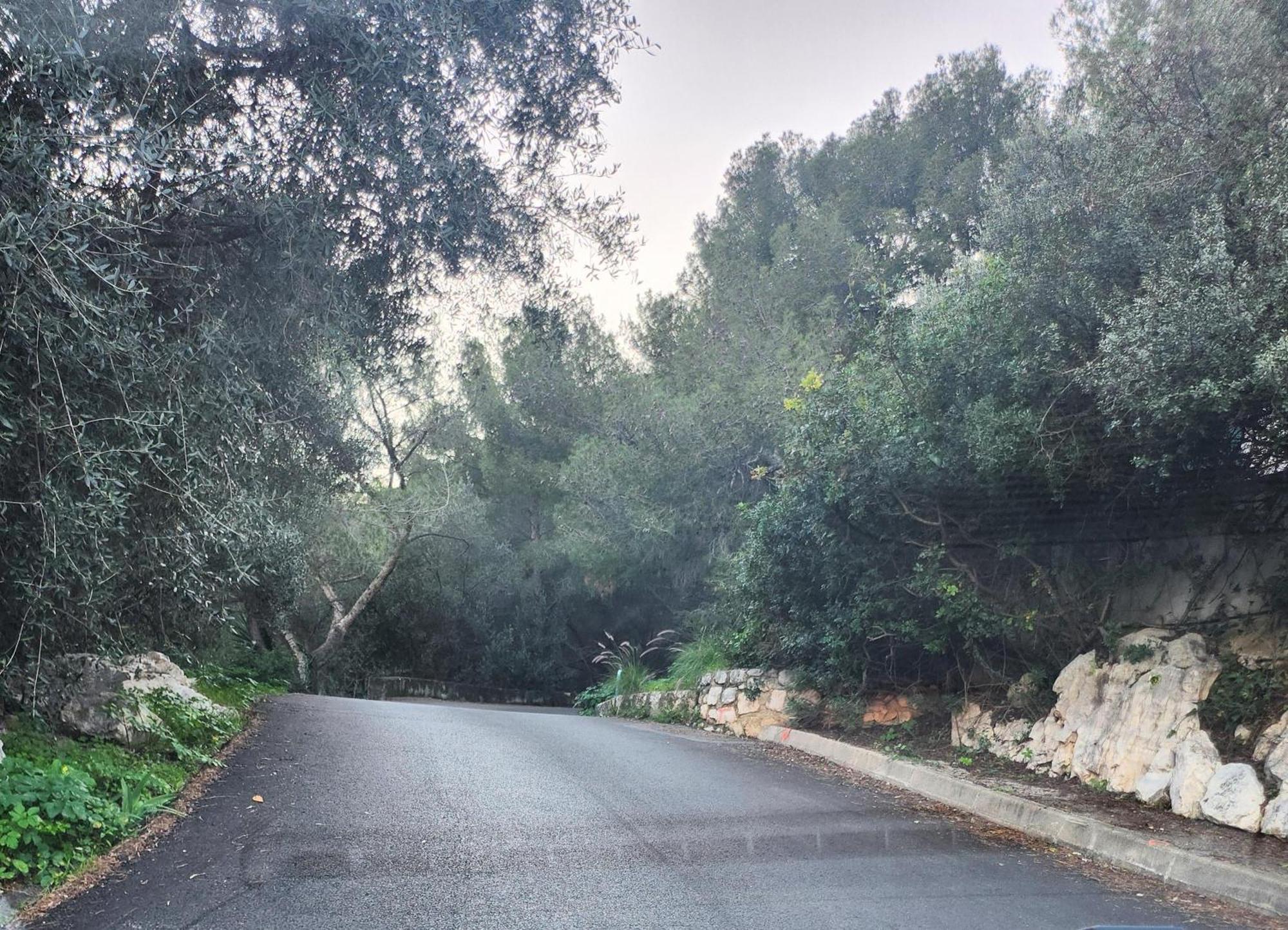 Le Mas D'Angeline, Vue Mer, Jardin Commun, Parking, Voiture Requise, 10 Min En Voiture De Monaco, Route Etroite, Pente Raide, Croisement Limite, Sea View, Shared Garden, Parking, Car Required, 10 Min Drive From Monaco, Narrow Steep Road, Limited Pass Beausoleil Exterior foto