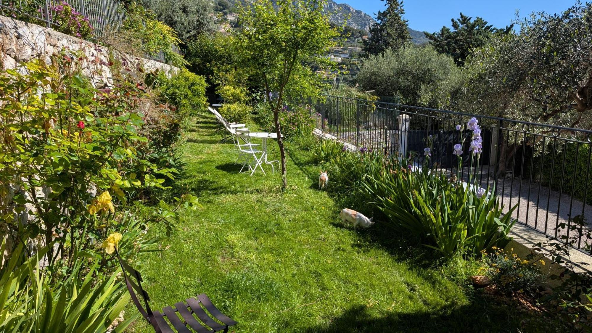 Le Mas D'Angeline, Vue Mer, Jardin Commun, Parking, Voiture Requise, 10 Min En Voiture De Monaco, Route Etroite, Pente Raide, Croisement Limite, Sea View, Shared Garden, Parking, Car Required, 10 Min Drive From Monaco, Narrow Steep Road, Limited Pass Beausoleil Exterior foto
